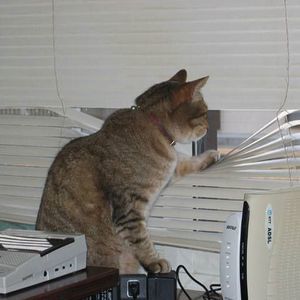 Meet your Posher, Courtney